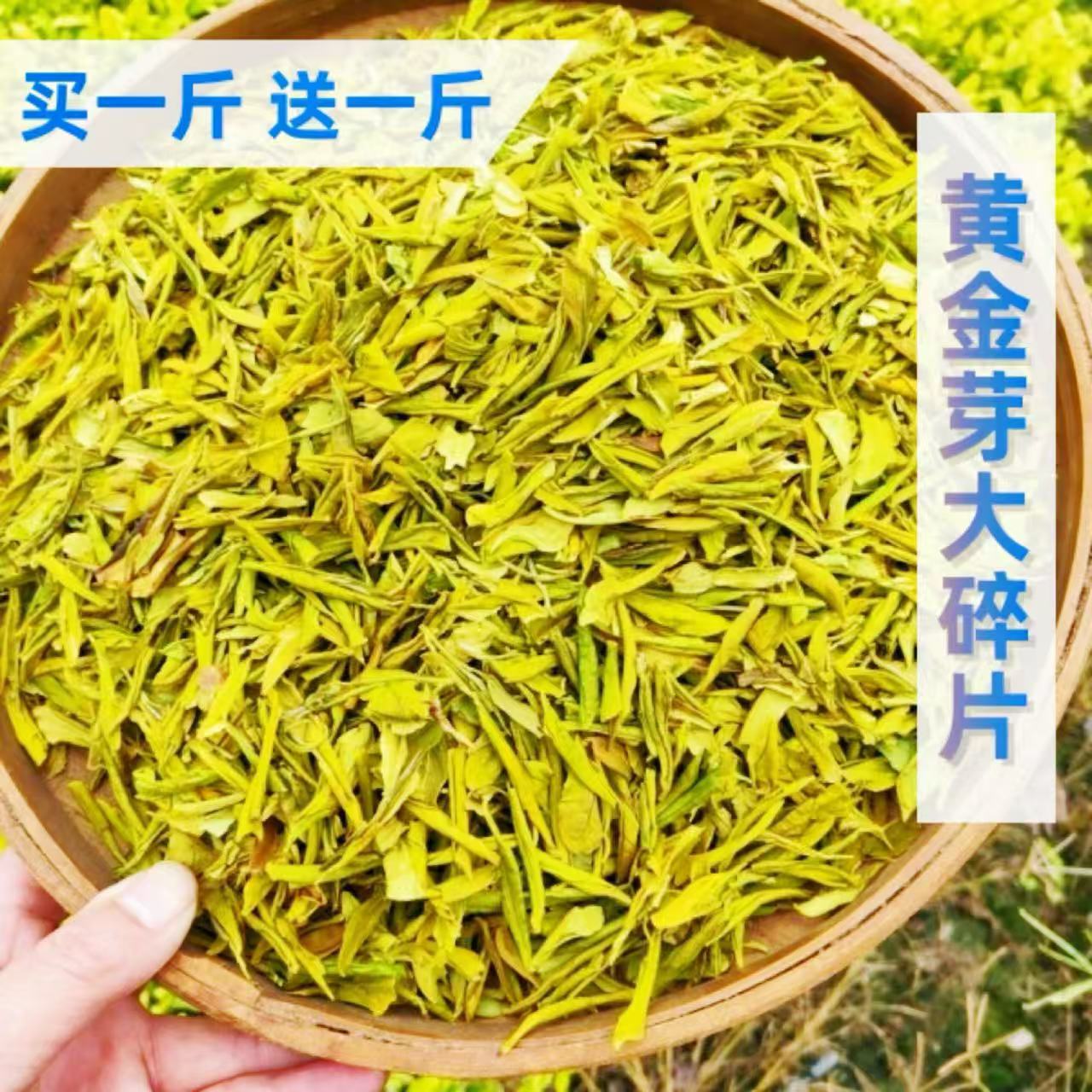 【买一斤送一斤】明前高档黄金芽大碎片2025新茶高碎浓香耐泡