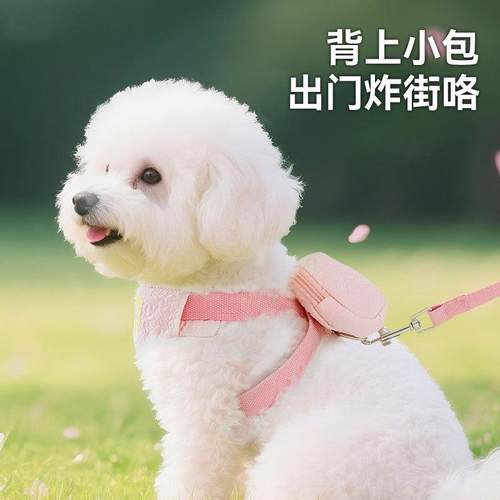 新款狗狗牵引绳多巴胺刺绣奶油自背包胸背带猫咪防挣脱宠物牵引绳