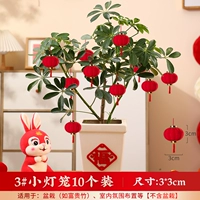 3#mini [10/Total 1 Pack] Применимо различные зеленые растения