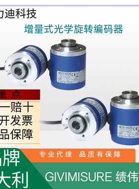 意大利GIVIMISURE 绩伟测量EN 58 SC,500,515,590,600,531,536