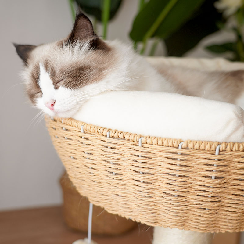 猫咪贵妃枕猫窝冬季保暖藤编不塌猫床耐磨圆形猫吊床猫爬架一体i.