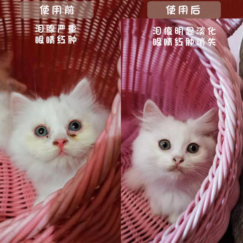 【猫舍推荐】猫咪眼药水消炎抗菌去泪痕红肿结膜炎宠物滴朗滴眼液