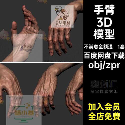 C4D白膜无贴图写实手臂男人胳膊手掌obj建模zpr模型3d