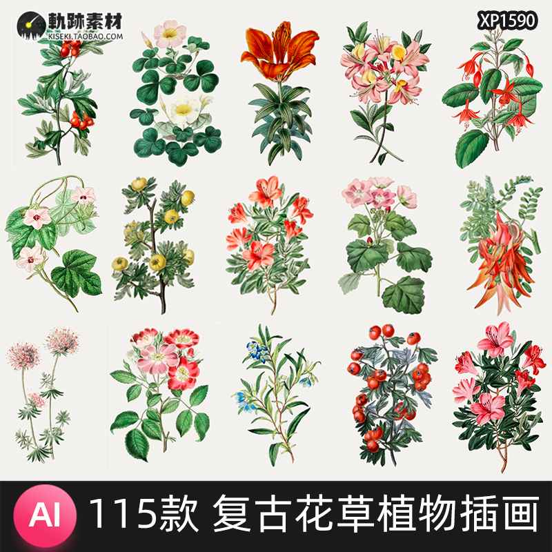 复古水彩手绘写实花草植物花朵花卉叶子元素插画ai矢量设计素材图