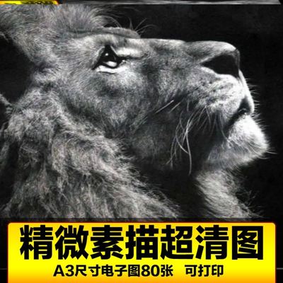精微素描临摹卡电子图人物科幻黑白有趣动物可打印临摹卡电子版