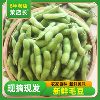 毛豆新鮮帶殼現(xiàn)摘現(xiàn)發(fā)，鮮嫩飽滿