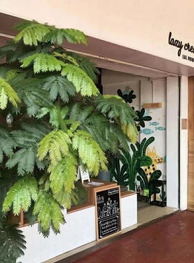 日系小清新密叶猴耳环猴耳环含羞草合欢树日本人气植物室内观叶