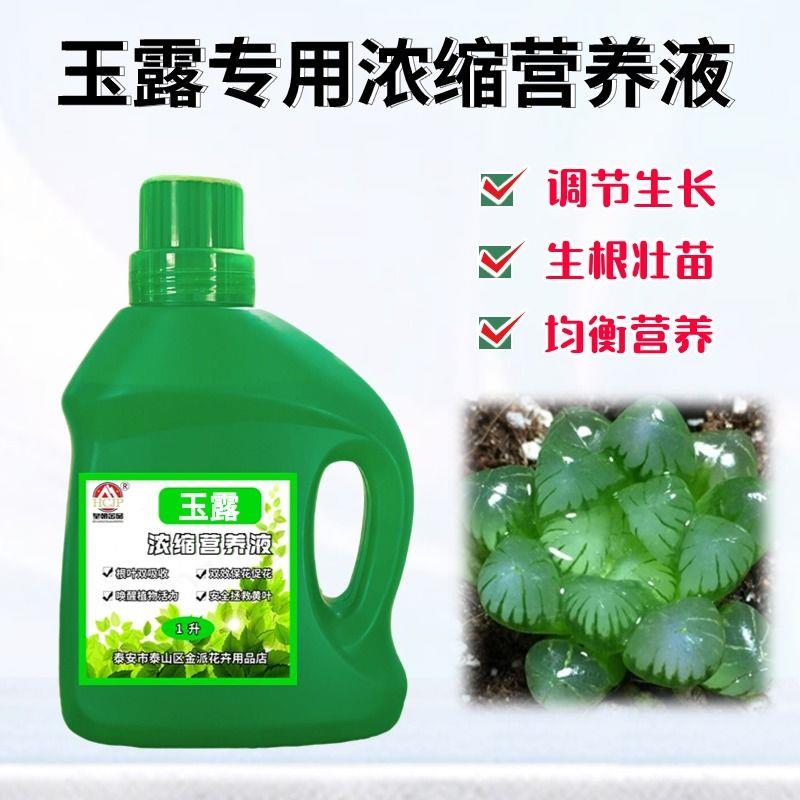 玉露专用浓缩营养液家用老桩盆栽多肉植物通用氮磷钾液体养花肥料