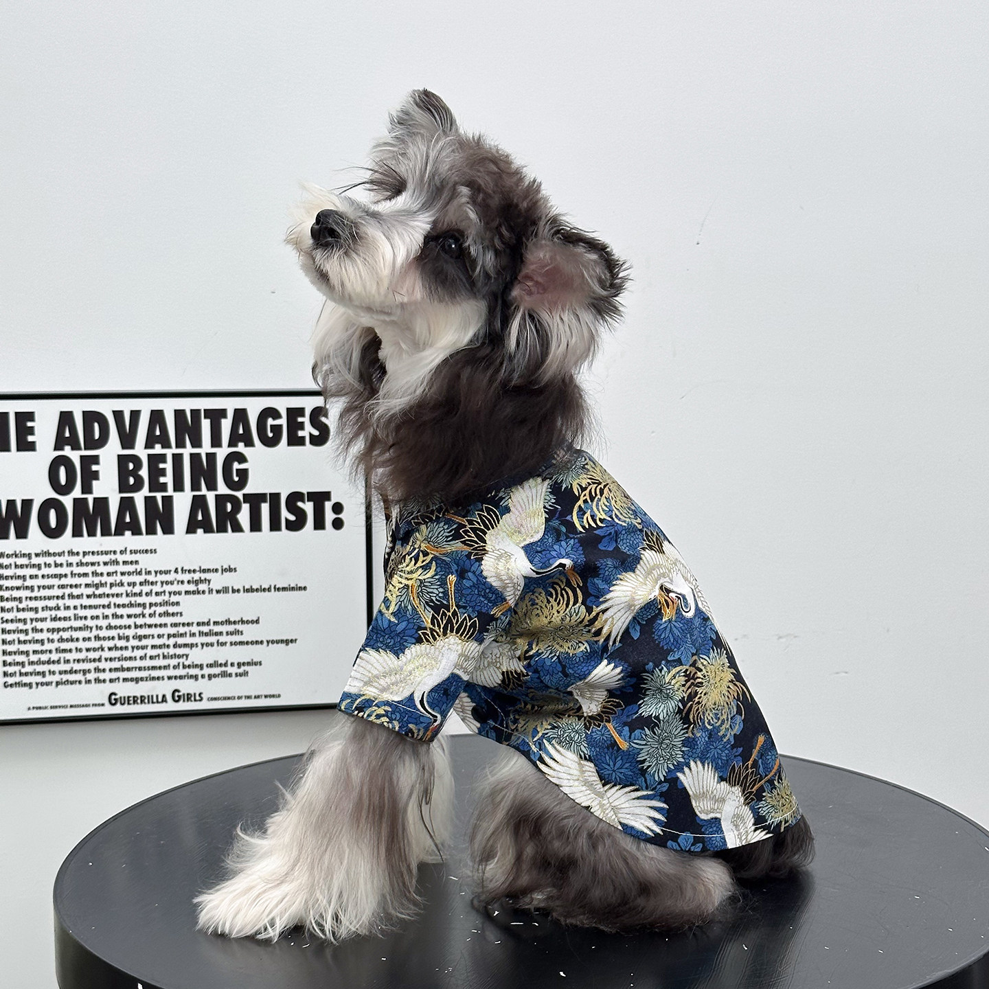 吉祥白鹤烫金衬衫潮牌透气休闲可爱品牌高级春秋款新款泰迪比熊