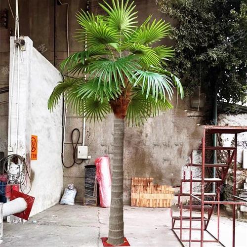 仿真棕榈树假人字皮扇葵树户外玻璃钢大型椰子树大王椰海枣树绿化