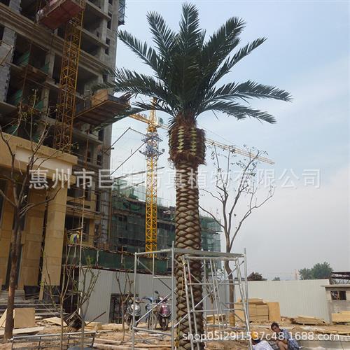 仿真海枣树塑胶皮中东海藻树人造仿生加拿利海藻树工程绿化假大树