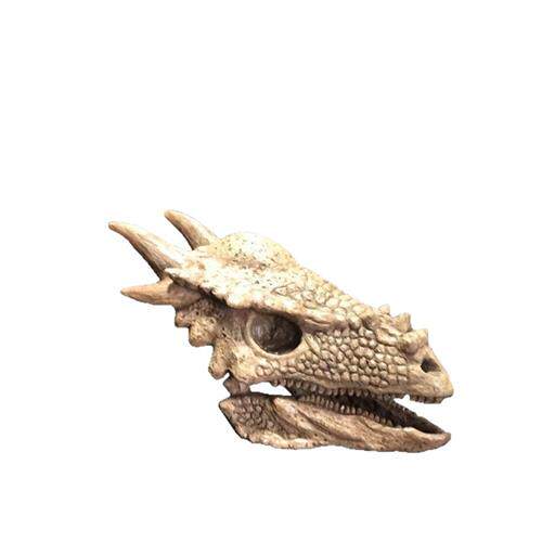 博物馆古生物仿真恐龙头化石骨架化石模型恐龙玻璃钢雕塑厂家
