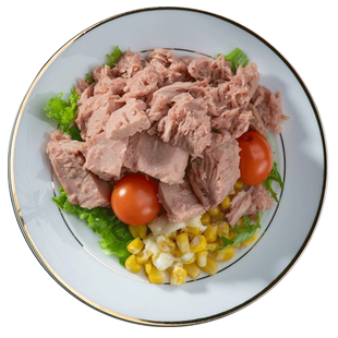 低脂水浸金枪鱼罐头10罐健身即食油浸吞拿鱼肉寿司拌饭菜蛋黄商用