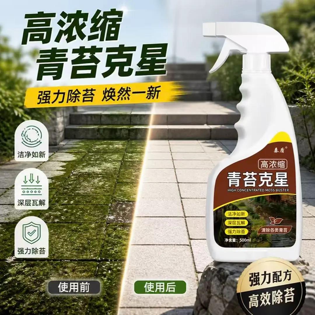 泰盾高浓缩青苔克星水泥