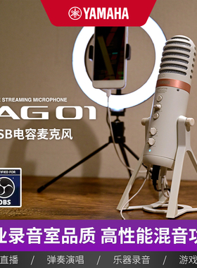Yamaha/雅马哈 AG01 USB电容麦克风高性能混音专业录制