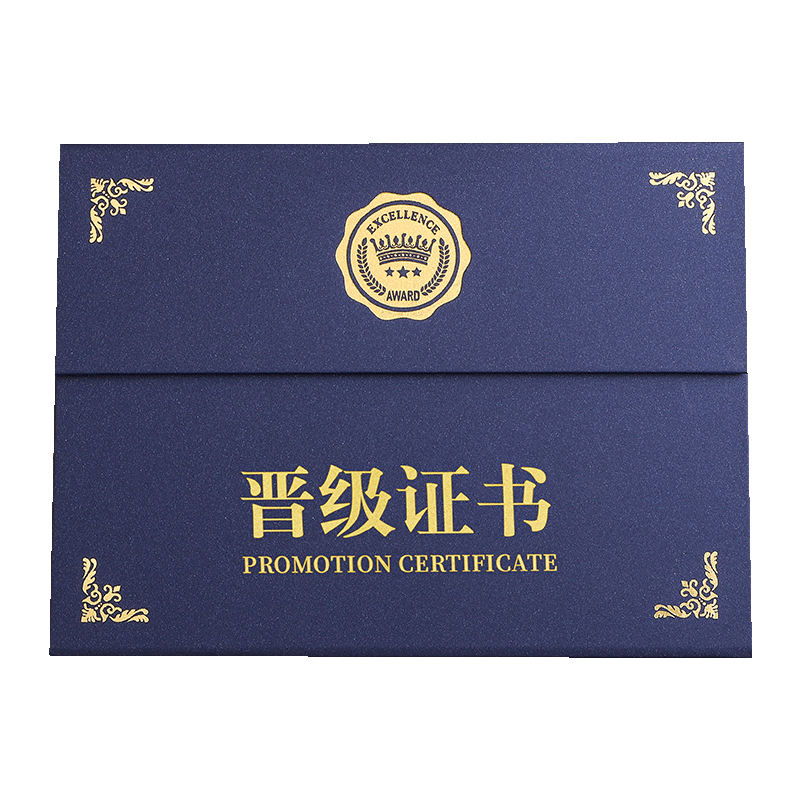 A4三折新款欧式晋级证书少儿舞蹈书画音乐比赛晋级证书获奖证书嘉奖证书荣誉证书定制定做加厚内芯内页可打印
