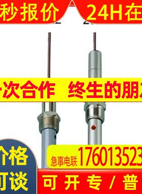 GF电导率传感器3-2822-1美国+GF+电导率电极198844002探头