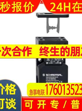 AZ15ZVRK-M16-2254 德国施迈赛 门开关 门锁开关 安全门专用