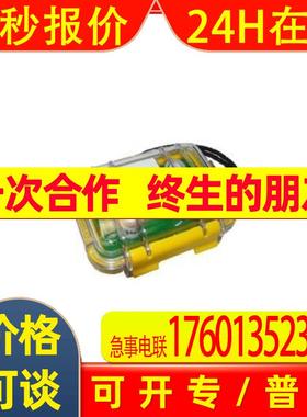 Honeywell霍尼韦尔华瑞RAE气体探测器SensorRAE