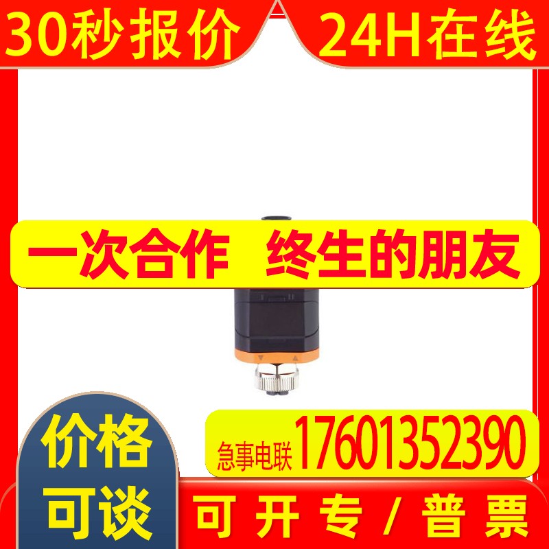 DP2200 IFM易福门用于模拟信号的评估系统及显示器 DP2200