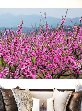 桃花林自然风景画桃花运桃树红色花朵客厅办公室背景墙自粘装饰画
