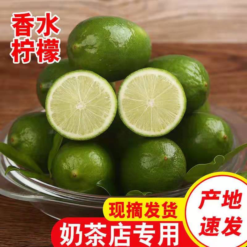 海南香水柠檬无籽新鲜果酸奶茶