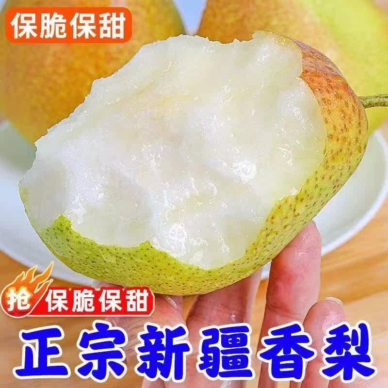 5�� �й� ������½������������������