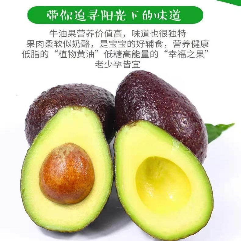 牛油果批发水果新鲜大果整箱鳄梨孕妇宝宝营养辅食应季食用包邮
