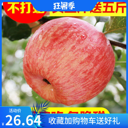 陕西红富士苹果水果5/10斤新鲜当季孕妇冰糖心应季超甜整现货包邮
