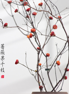 蔷薇果干树枝枯梅花天然干花枝玄关壁龛装饰摆件客厅禅意花束侘寂