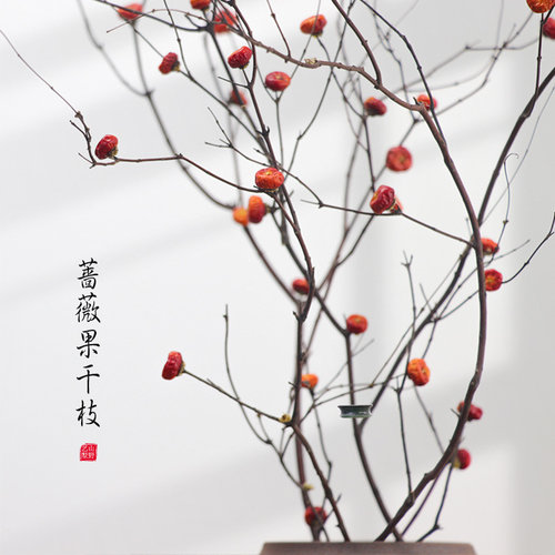 禅意干枝枯枝装饰摆件