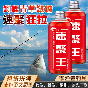抖音同款速聚王钓鱼小药水主播鲫鲤青草鲢鳙罗非淡海鱼饵窝料通用