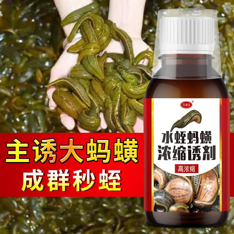 抖音同款水蛭蚂蝗蚂蟥王浓缩诱剂钓鱼小药野户外网诱主播溪流池塘