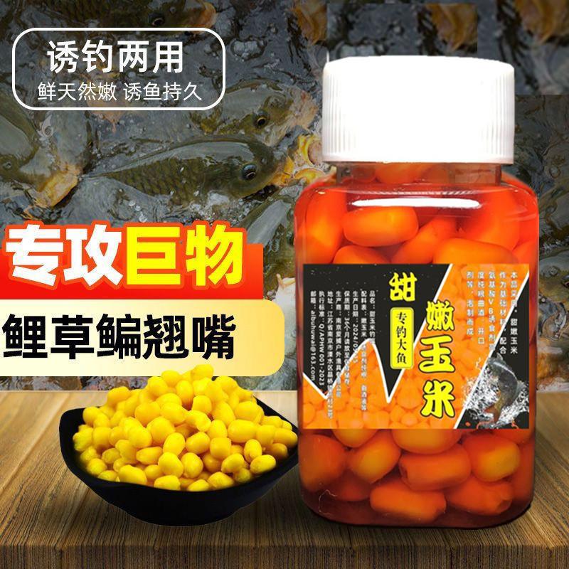 抖音同款钓鱼嫩玉米钓饵挂钩麝香玉米饵料鲤鱼草鱼食翘嘴专用野钓