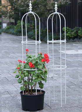 植谜白色园艺爬藤架组合拼装花架欧式花支架室外花架攀爬架8mmU型