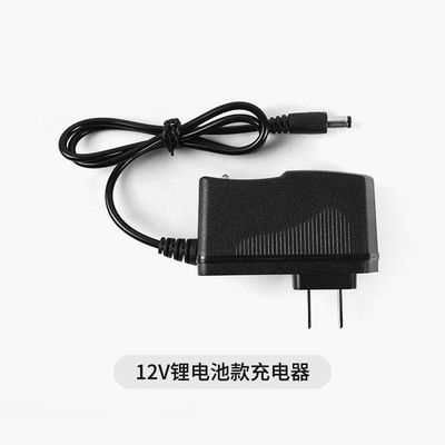 特忆无线洗车机锂电池充电器12V24V48VF水枪电池配件220V点烟器用