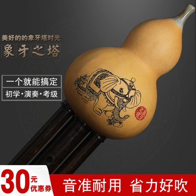 郝思贝思葫芦丝C调降B调小众传统乐器小学生简单易学【象牙之塔】
