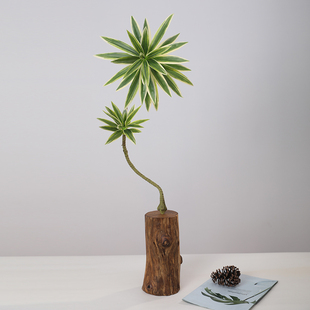 实木墩子花瓶摆件客厅插花仿真百合竹侘寂风复古木桩装饰干花花器