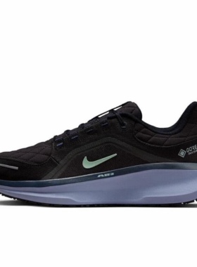 Nike Winflo 11 gtx 舒适耐磨减震百搭低帮跑步鞋FQ1358-006