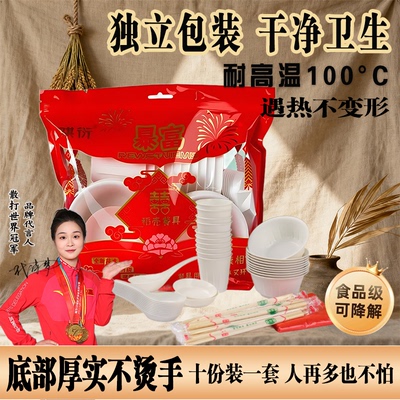 稻壳一次性餐具碗筷十件套装