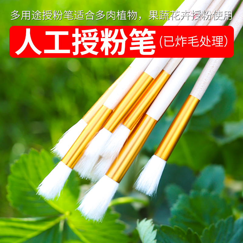 人工授粉笔授粉器草莓多肉西红柿无花果树授粉工具花粉点花授粉刷