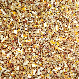 高梁麦子玉米碎喂鸡玉米粉碎渣糁鸡鸭粮食鸽子粮兔猪仓鼠家禽饲料