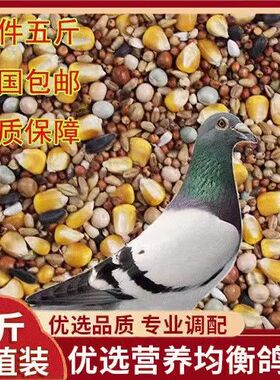 鸽子粮有玉米营养鸽粮A级信鸽观赏鸽成鸽鸟食包