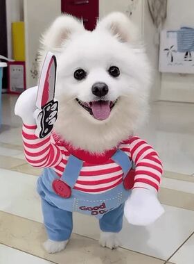 万圣节网红抖音拿刀致命娃娃狗狗搞怪变身装猫咪宠物衣服小中型犬