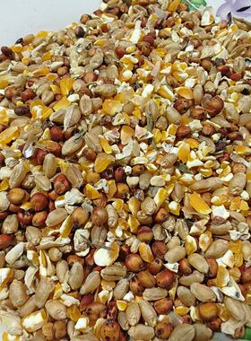 精品玉米鸽粮鸟食饲料鸽子鸡鸭鹅宠物高梁麦子玉米碎混合喂鸡