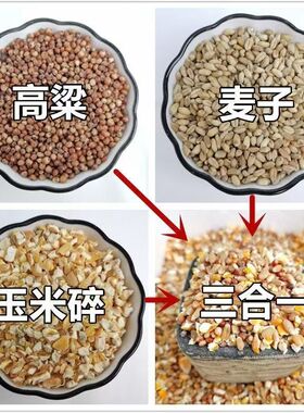 高梁麦子玉米碎混合喂鸡玉米粉碎渣玉米糁鸡鸭粮食鸽子粮兔猪仓鼠