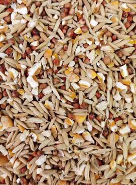 高粱玉米碎粒稻谷混合喂鸡喂鸽子玉米粉碎渣糁杂高梁鸽粮食保健砂
