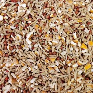 高粱玉米碎粒稻谷混合喂鸡喂鸽子玉米粉碎渣糁杂高梁鸽粮食保健砂