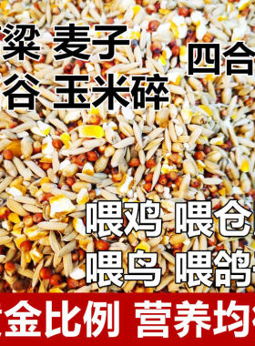 高粱麦子稻谷玉米碎混合喂鸡喂鸟喂鸽子五谷杂粮高梁鸽粮食保健砂