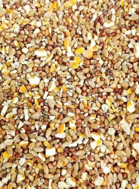 高梁麦子玉米碎10斤喂鸡玉米粉碎渣饲料糁鸡鸭粮食鸽子粮兔猪仓鼠